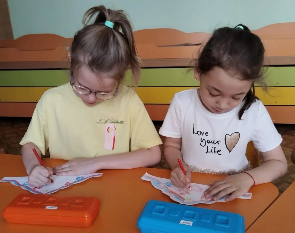 img (6)